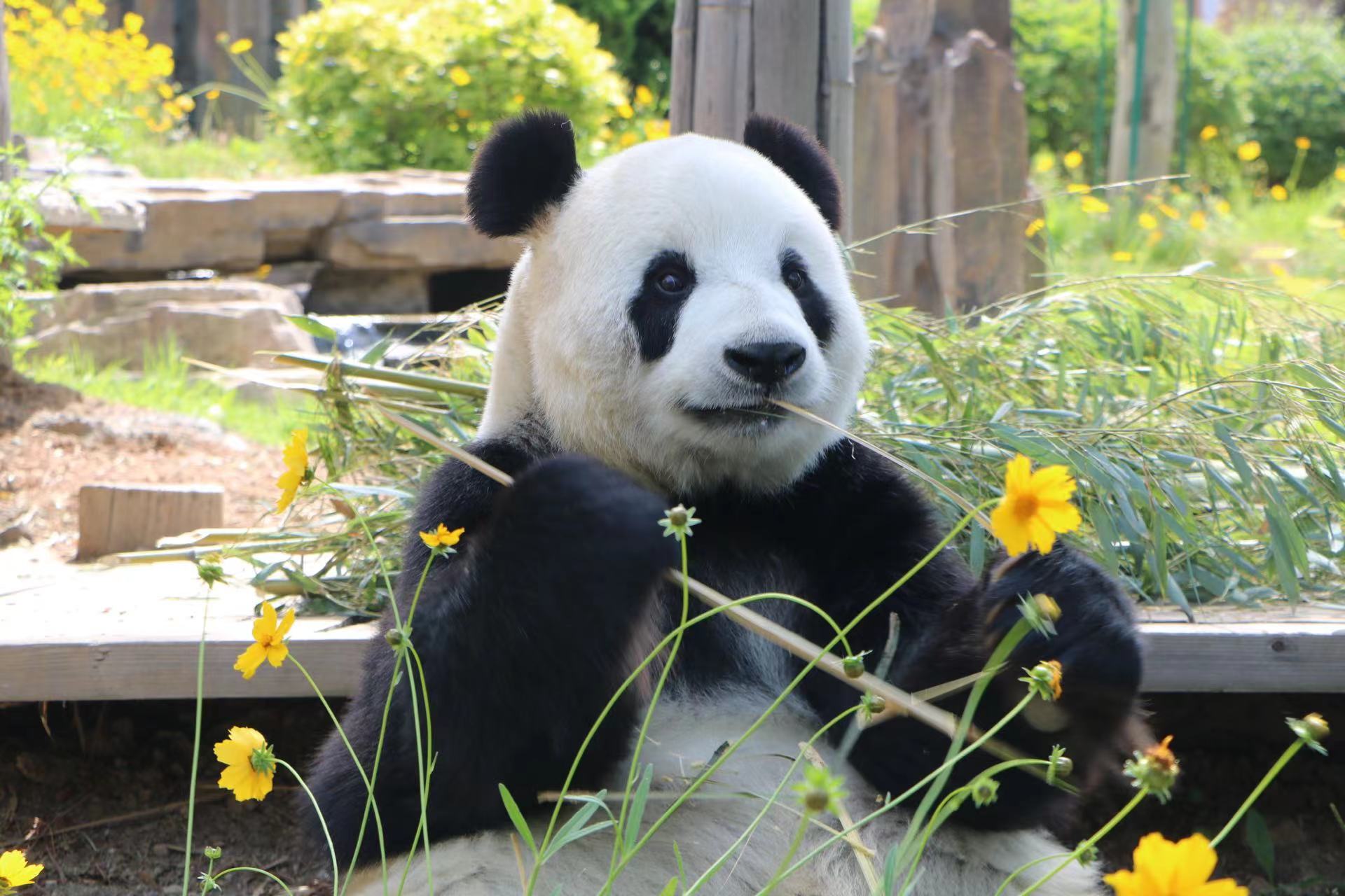 大连森林动物园